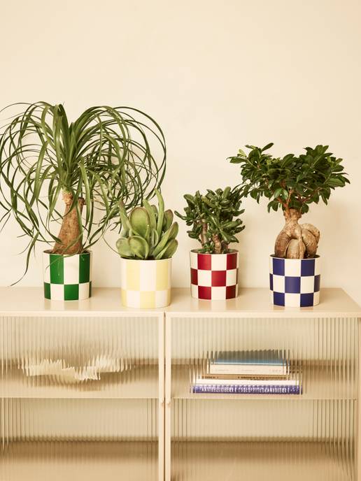 blocks & stripes 15cm meadow green